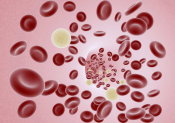 blood